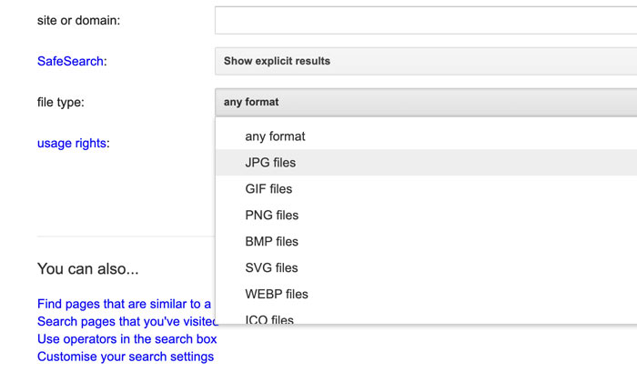 file type filter on Google advanced image search Tool