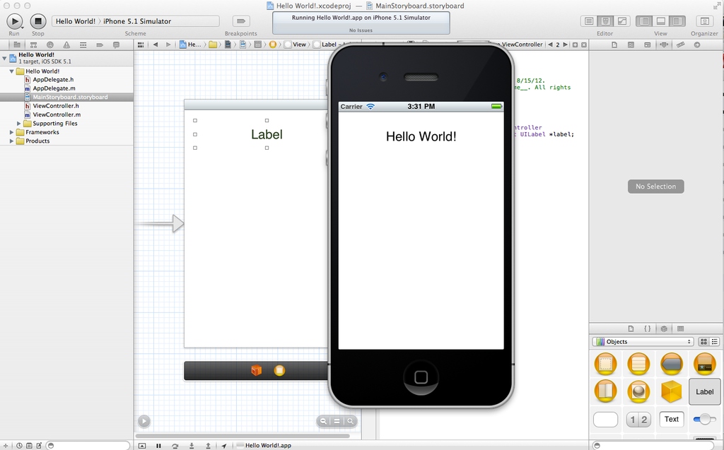 Launch the Xcode and create a new project