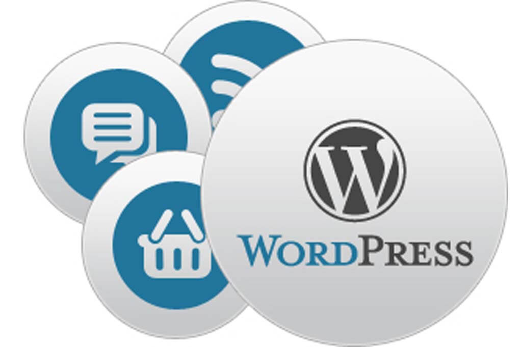 Wordpress Development Services