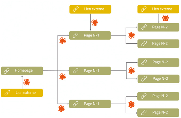 Crawl Budget for-SEO