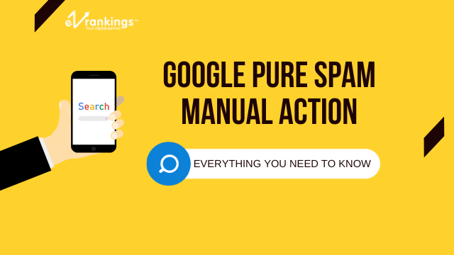 Google Pure Spam Manual Action