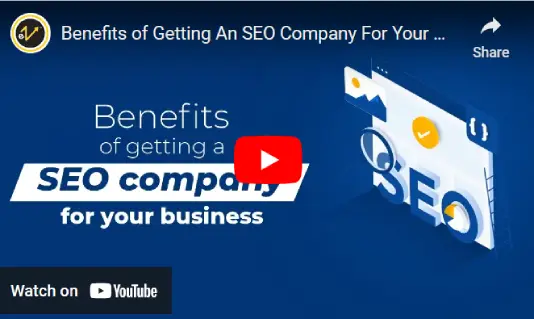 SEO India Company Video